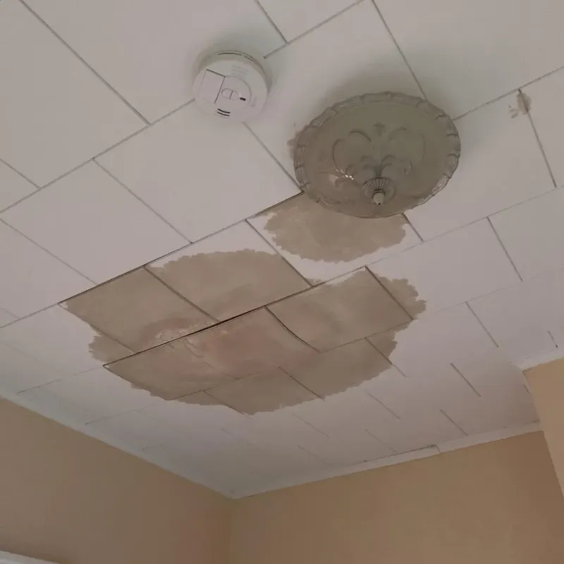 Ceiling Water Damage Repair in Union County, SD