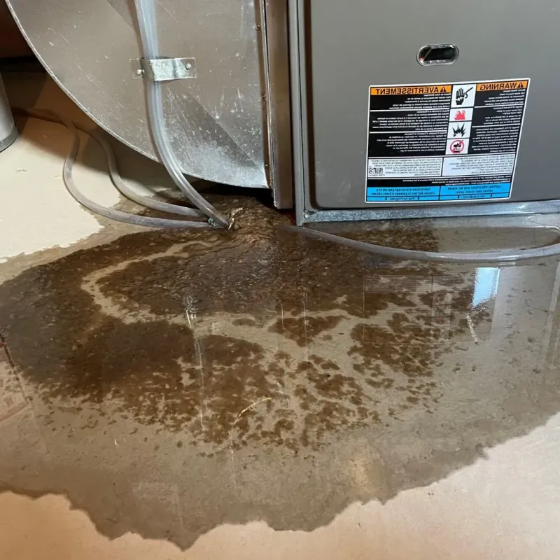 Pipe Burst and Leak Restoration in Union County, SD